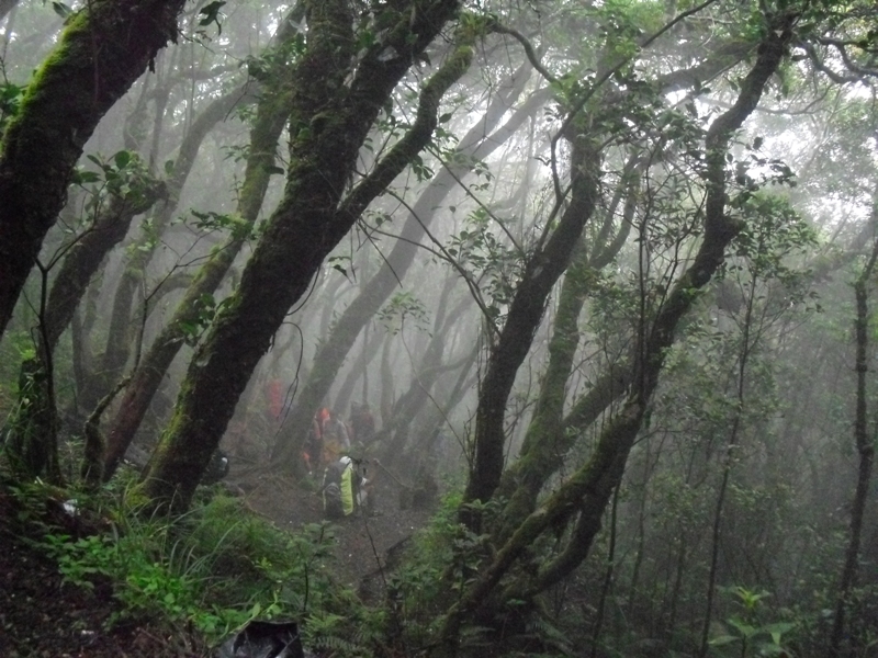 Kisah misteri Gunung gede & eyang suryakenca