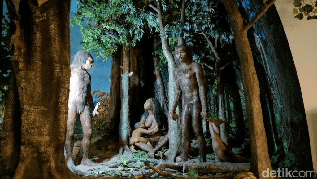 Rahasia Fosil Sangiran 2 Juta Tahun Terungkap